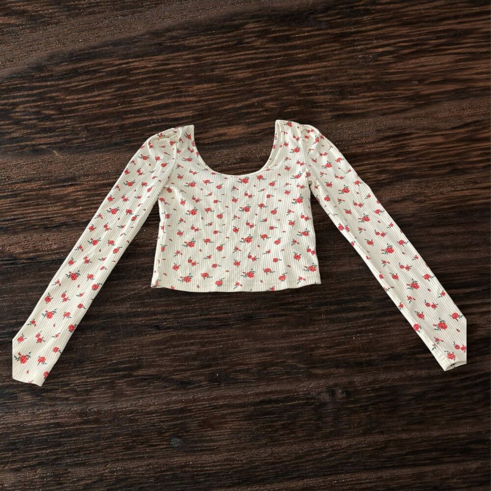 Wild Fable Long Sleeve Crop Top